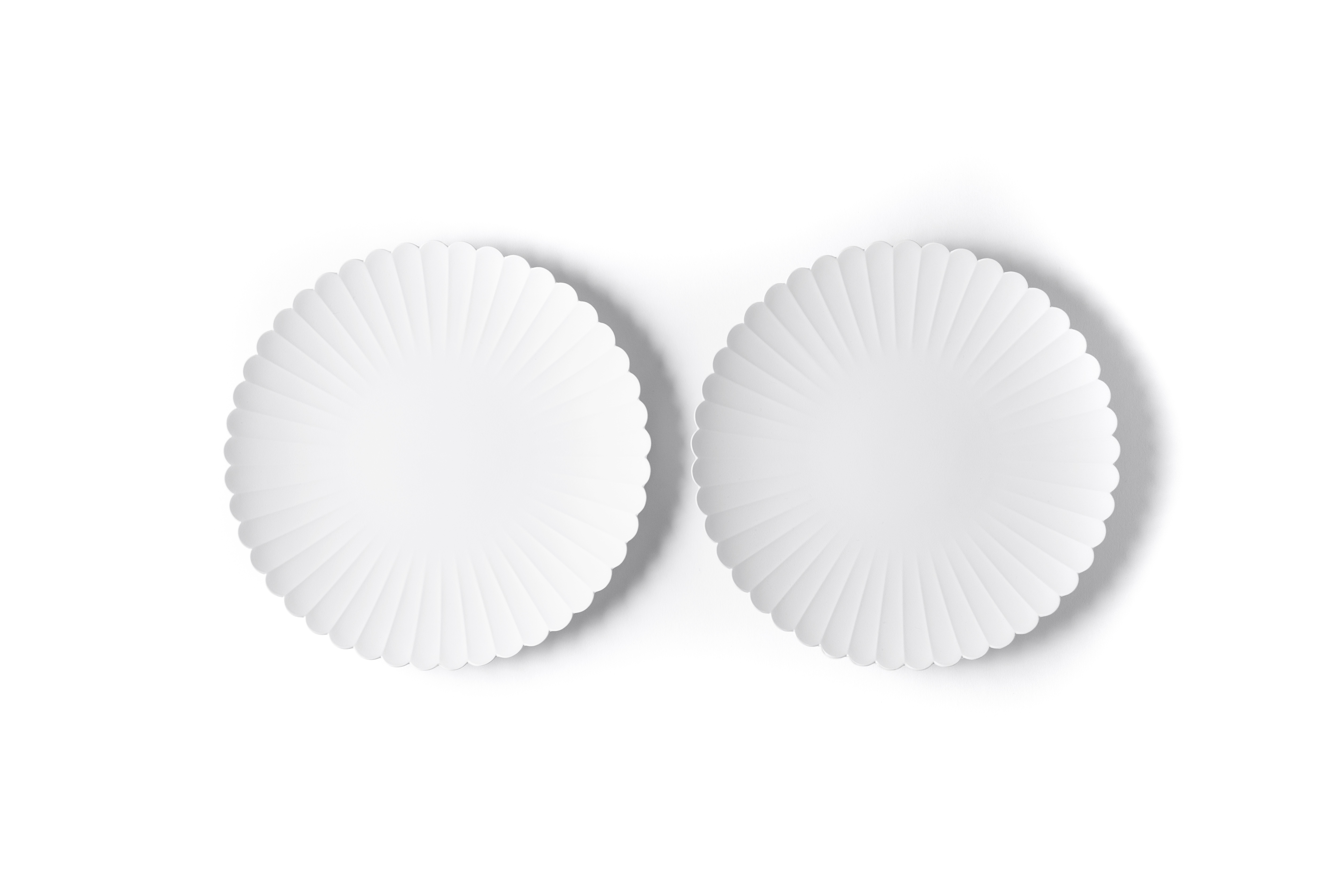 薗部産業株式会社 ゼルコバ皿 8寸 - TRUNK(HOTEL) CAT STREET - ギフト